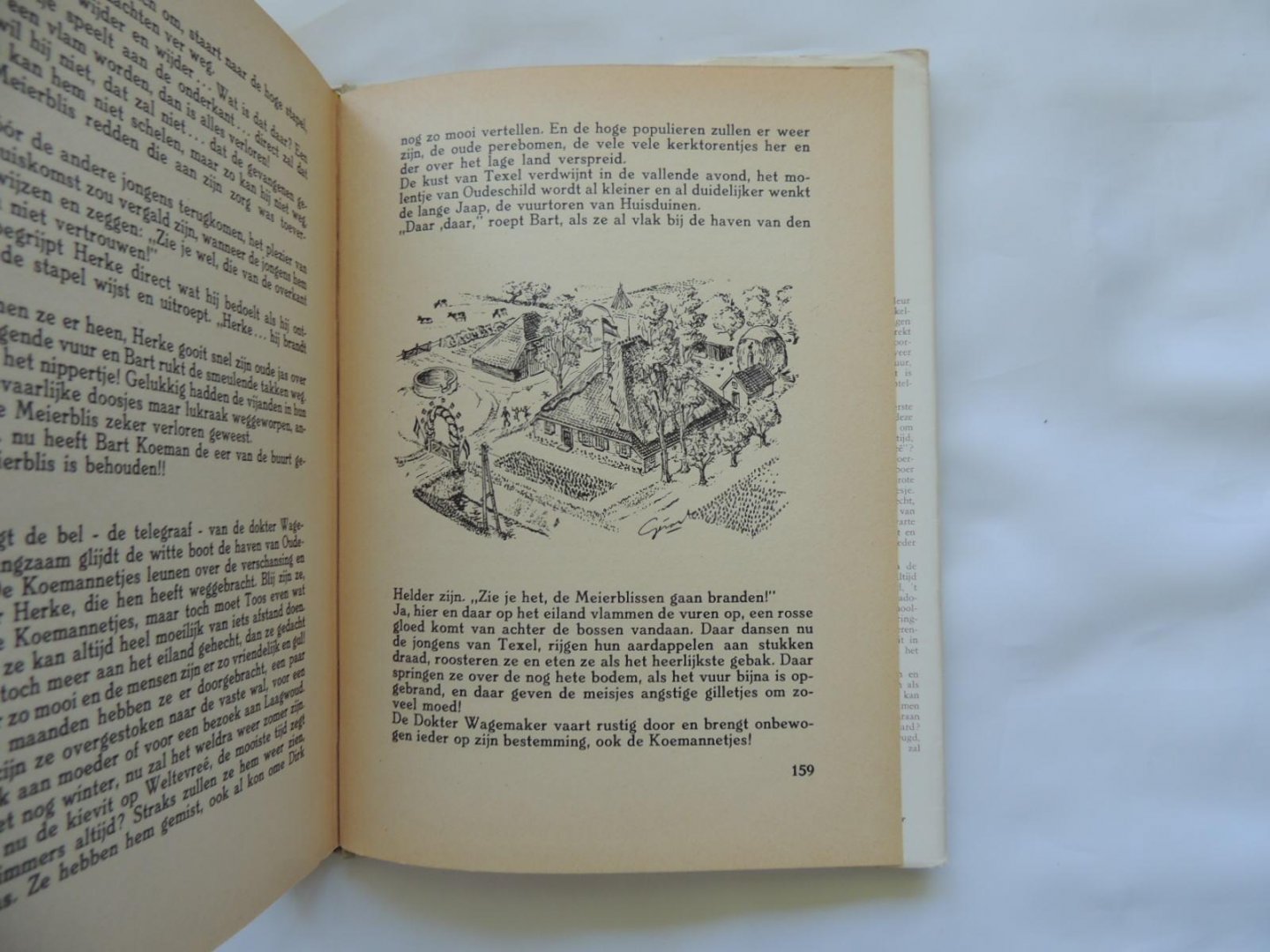 Nierop, Pieter (ps. van F.P. Groot) - De vlaggen uit op Weltevree