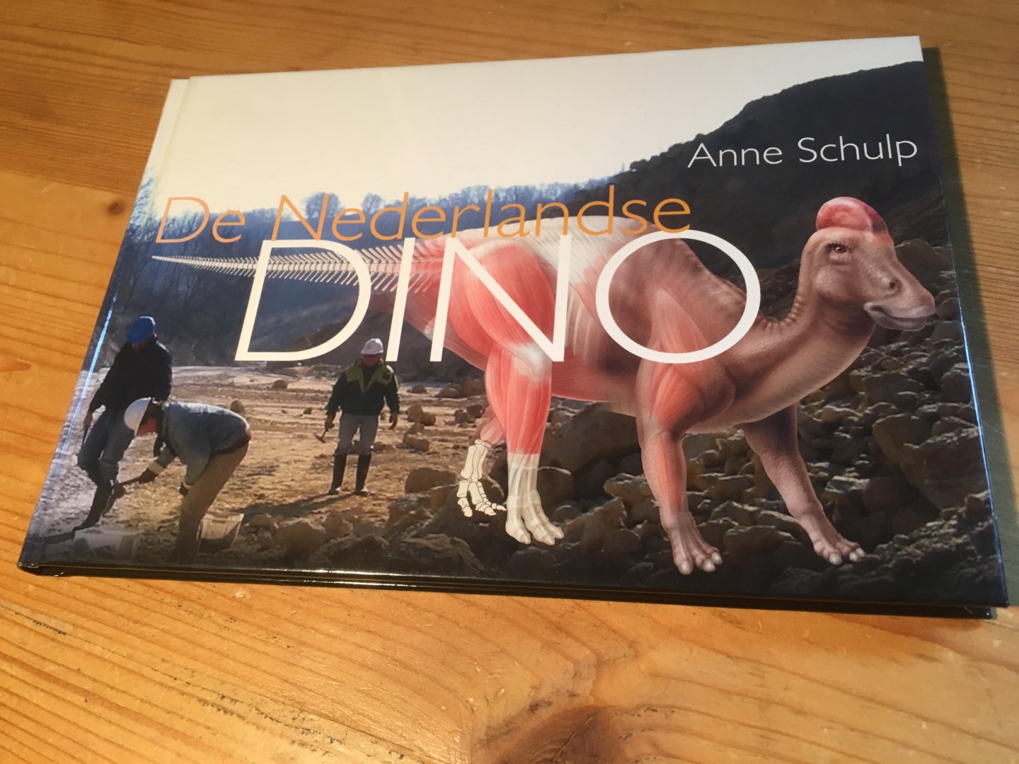Schulp, Anne - De Nederlandse Dino