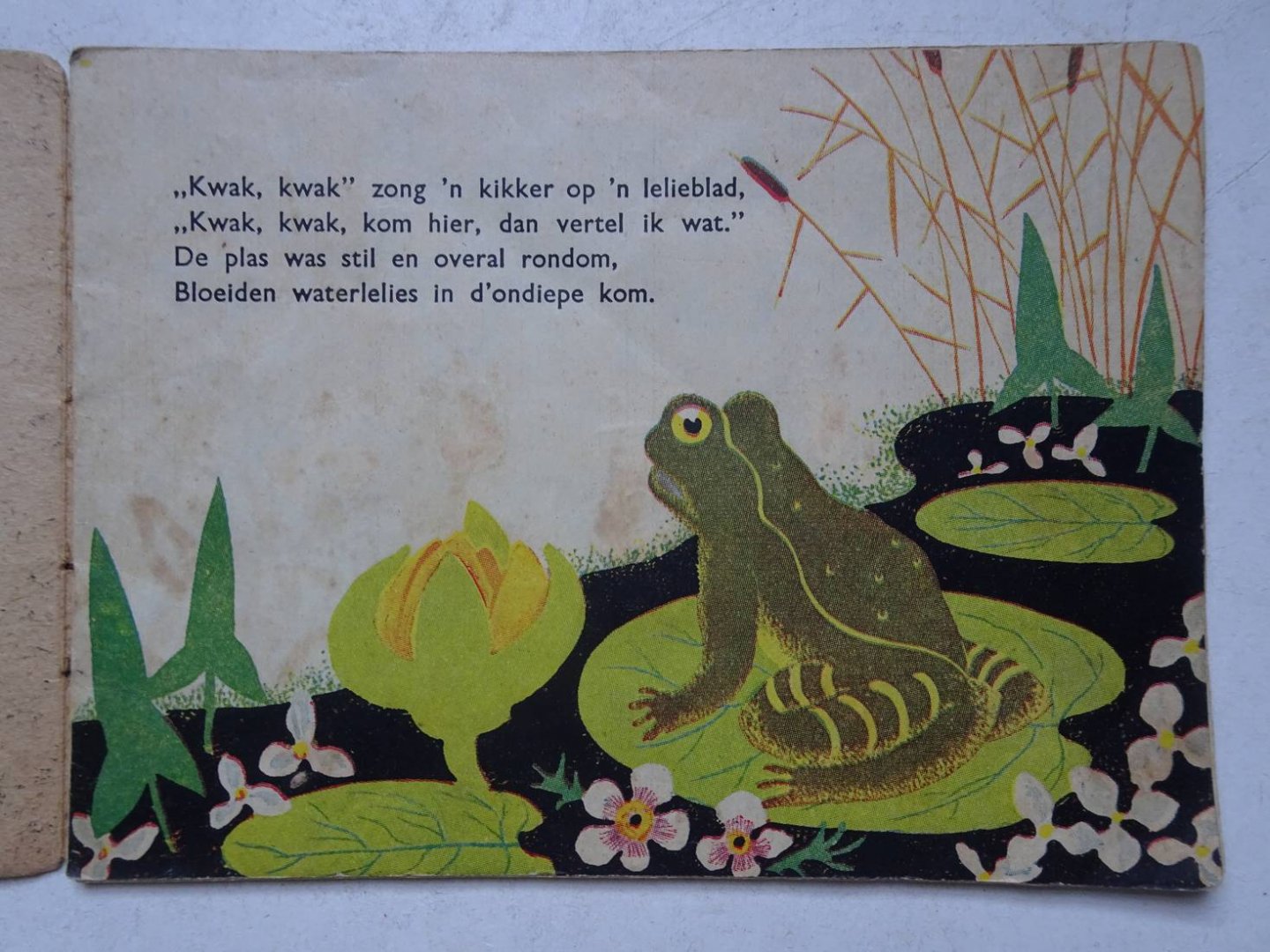 Tulp, Hanny. - Hoe ik kikker werd.