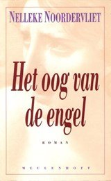 Het oog van de engel - roman