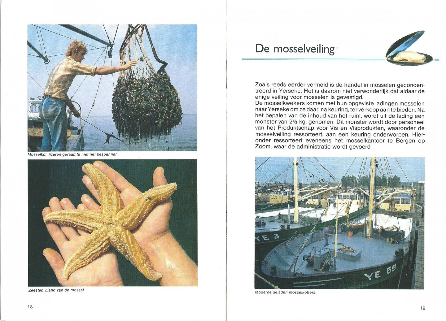 Productschap voor Vis en Visproducten - Mosselen : Zeg ken jij de mosselman?