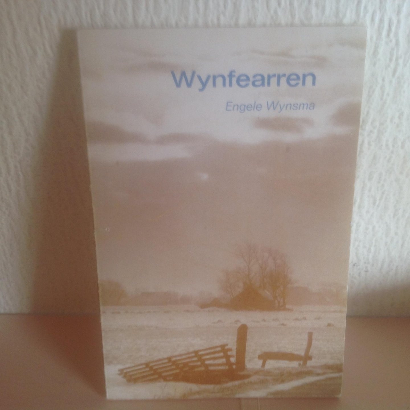 Engele Wynsma - Wynfearren