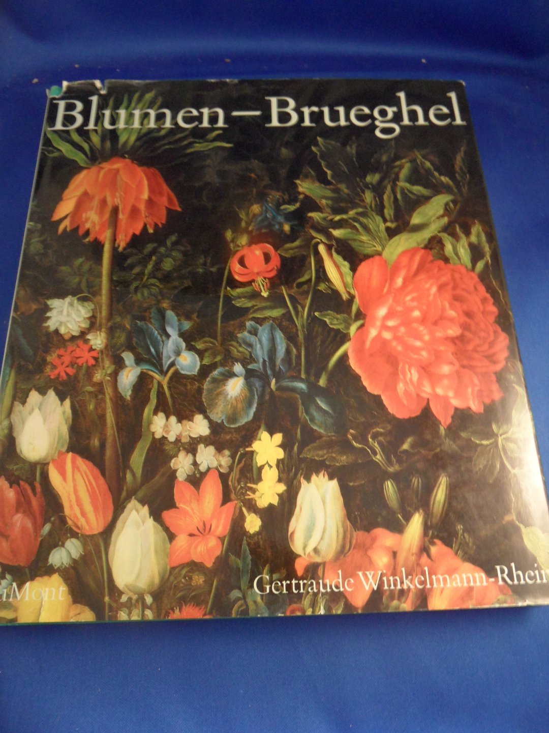 Winkelmann Rhein, Gertrude - Blumen Brueghel