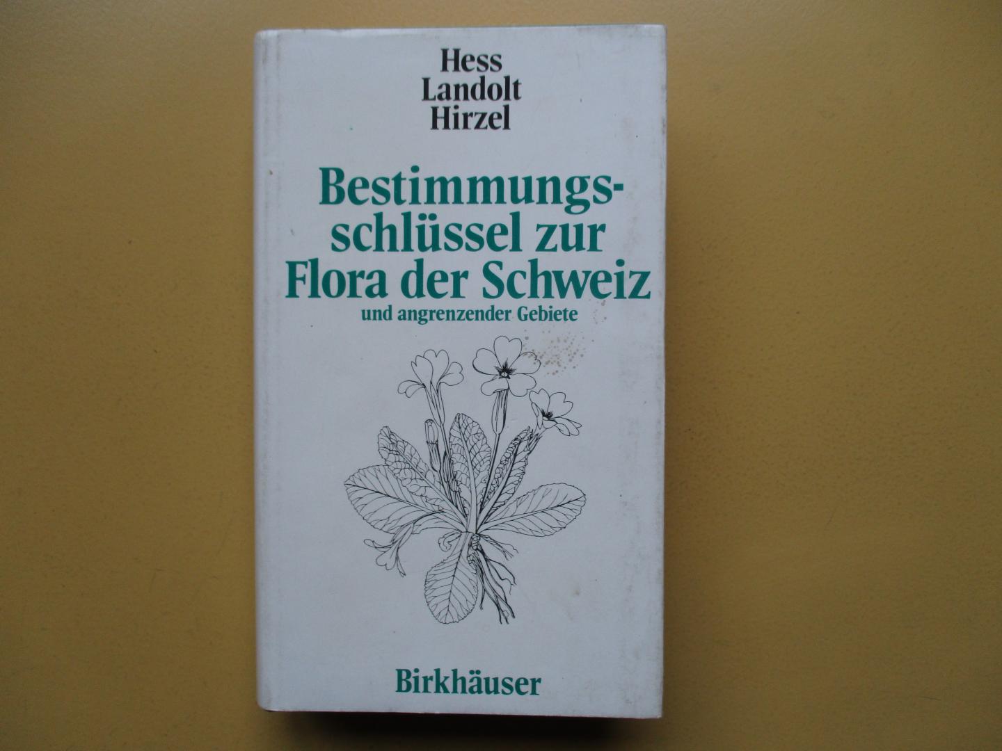 Hess, Dr. Hans Ernst / Dr. Elias Landolt / Rosmarie Hirzel - ( Zeichnungen) - Bestimmungsschlüssel zur Flora der Schweiz und angrenzender Gebiete