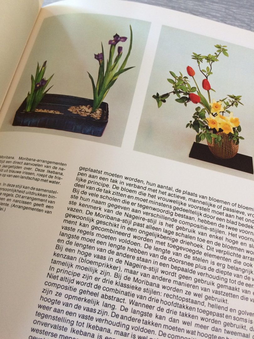 Pizetti - Handboek van kamerplanten cactussen / druk 1