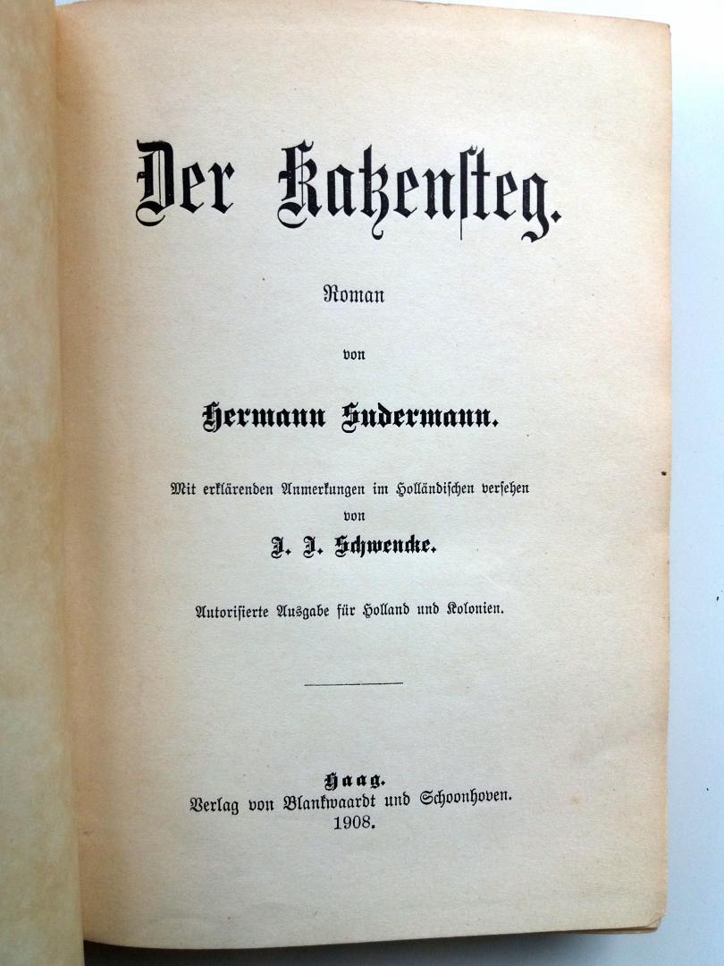 Sudermann, Hermann - Der Katzensteg (DUITSTALIG)