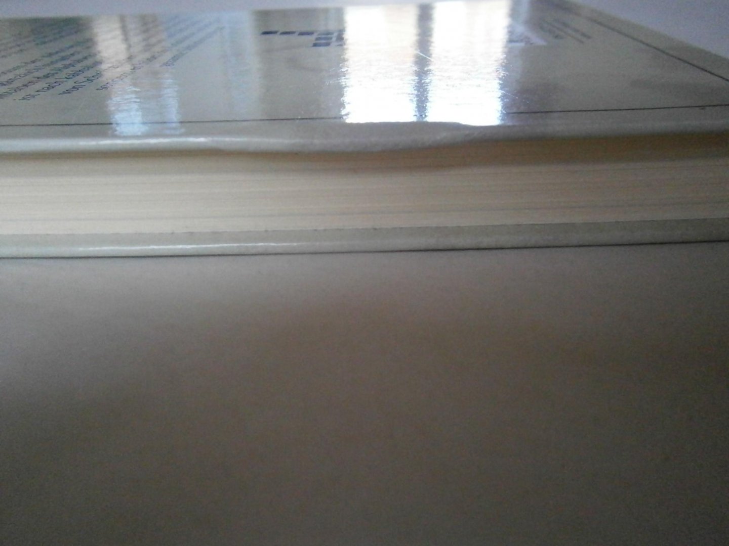 Mandel, Gabrielle - Gezeichnete Schöpfung Eine Einführung in das hebräische Alphabet und die Mystik der Buchstaben