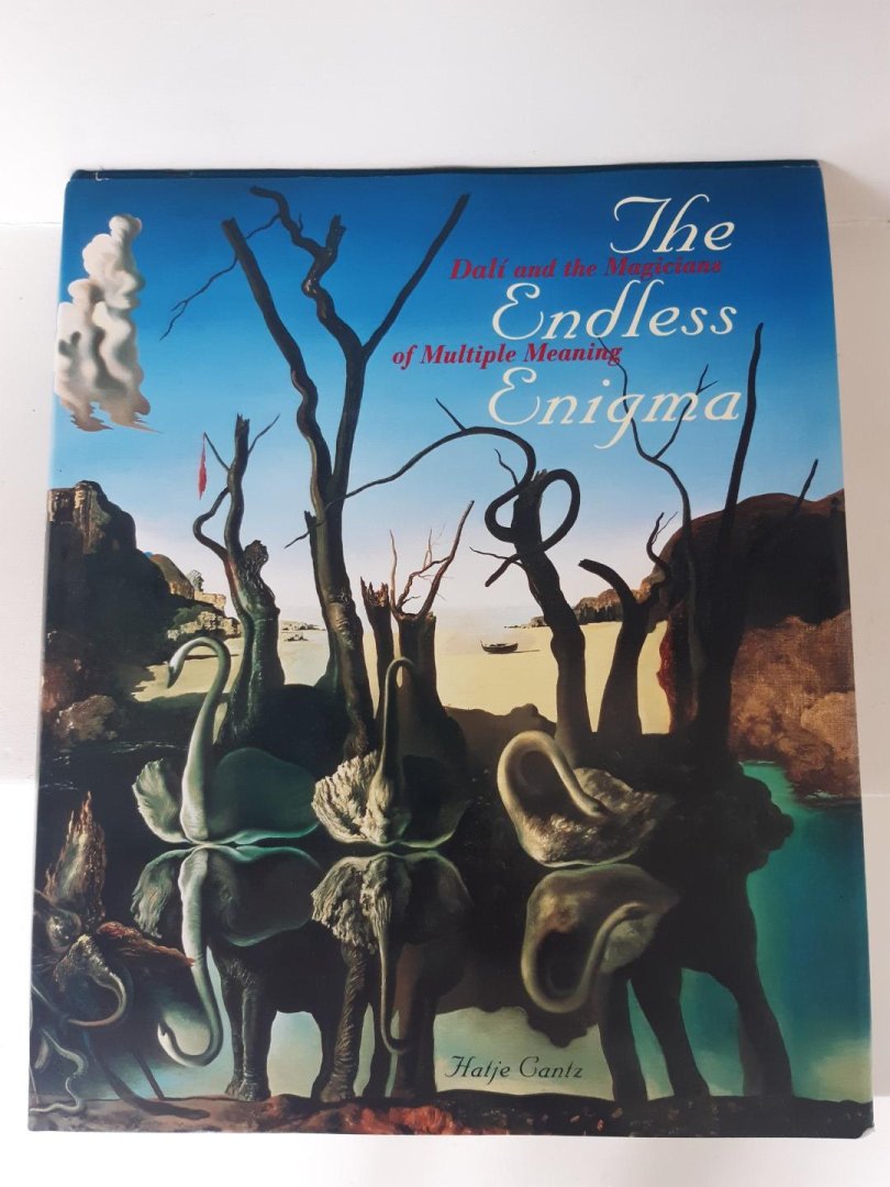 Martin, Jean-Hubert; Andreae, Stephan; Al, Et; Ades, Dwan; Aguer, Montse - The endless enigma. Dali and the magicians of multiple meaning.