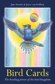 Bird  cards