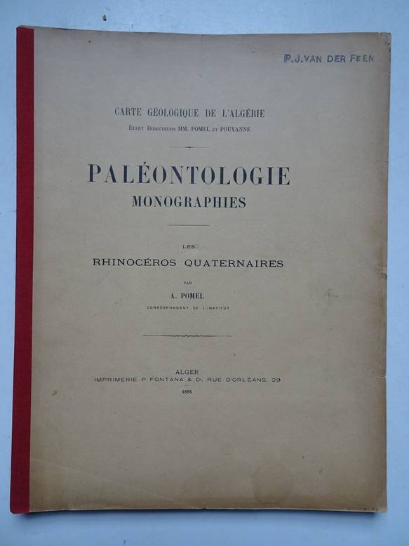 Pomel, A.. - Paléontologie monographies/ rhinocéros quaternaires; carte géologique de l'Algérie.