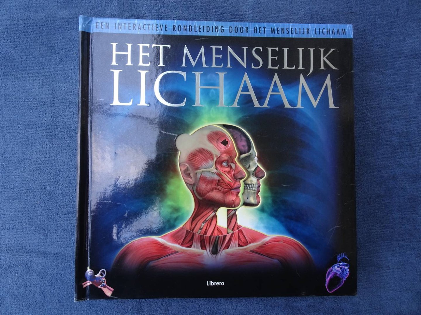 Parker, Steve. - Het menselijk lichaam. Een interactieve rondleiding door het menselijk lichaam.