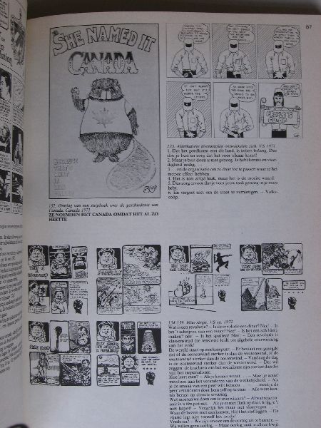 Davidson, Steef, samenstelling - Beeldenstorm, de ontwikkeling van de politieke strip, 1965-1975