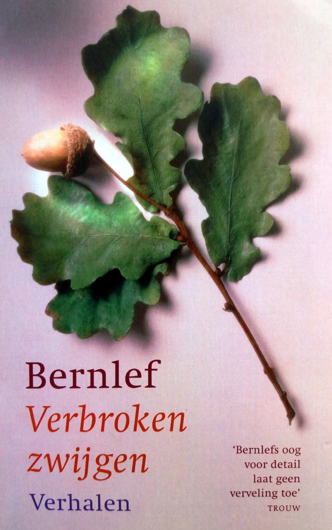Bernlef, J. - Verbroken zwijgen (Ex.4)