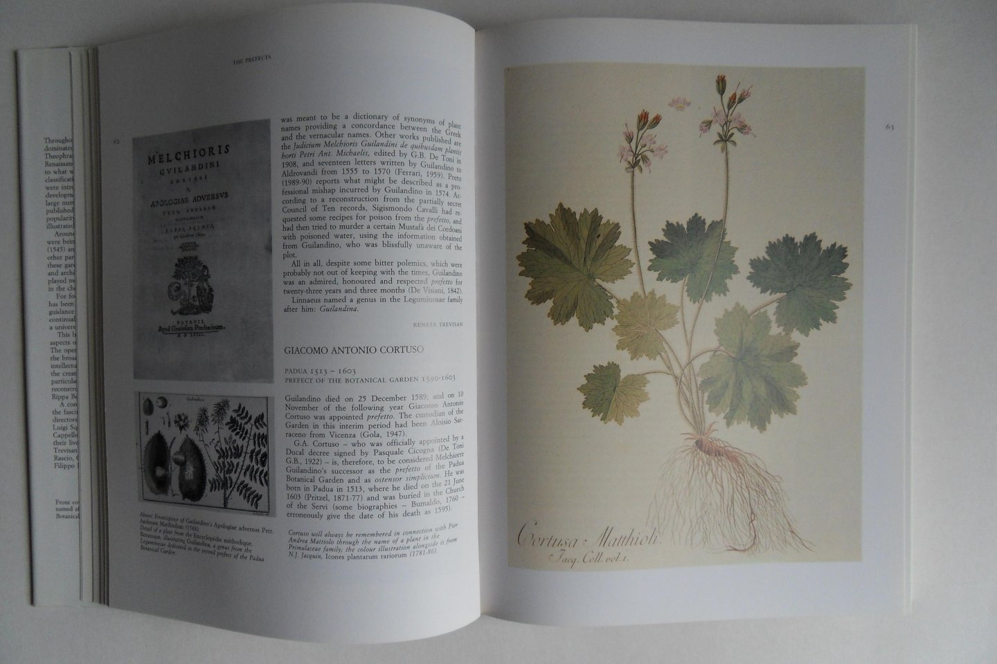 Minelli, Alessandro (editor). - The Botanical Garden of Padua 1545 - 1995.