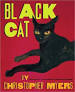 Myers, Christopher - Black Cat