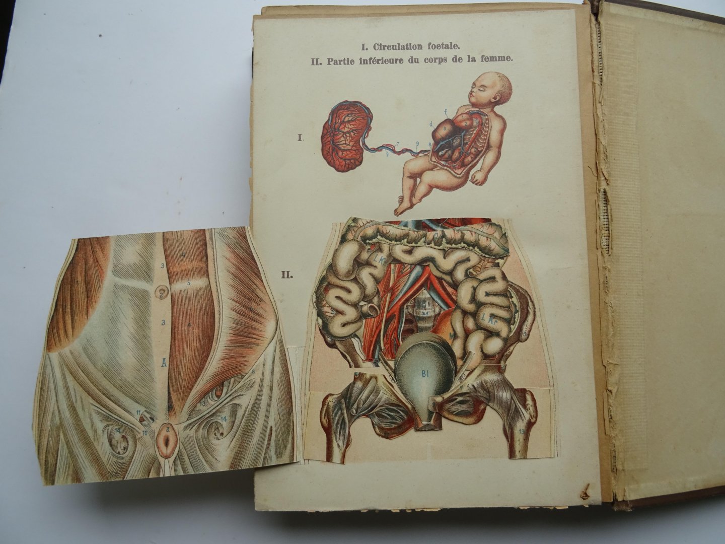 Bilz, Friedrich Edouard. - Nouvelle methode pour guérir les malades. Deel 2.