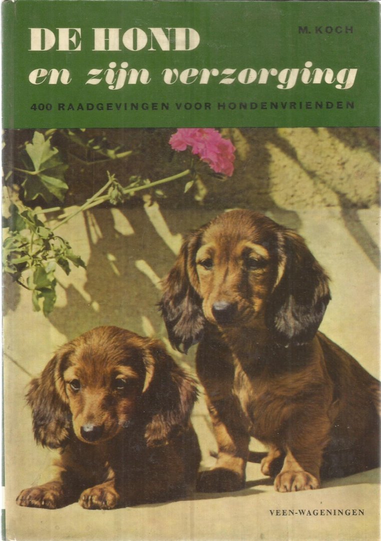 Koch, M. - De hond en zijn verzorging - 400 raadgevingen voor hondenvrienden