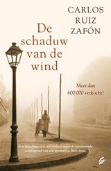 De schaduw van de wind