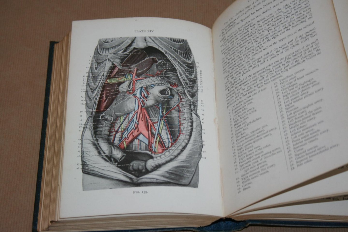 Arthur Robinson - Cunningham's Manual of Practical Anatomy  --Thorax and Abdomen