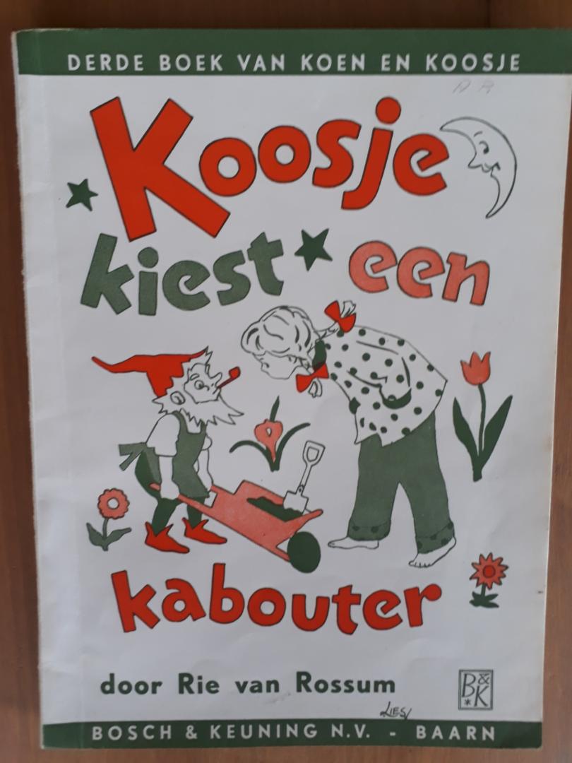 Rossum, Rie van - Koosje kiest een kabouter - derde boek van Koen en Koosje