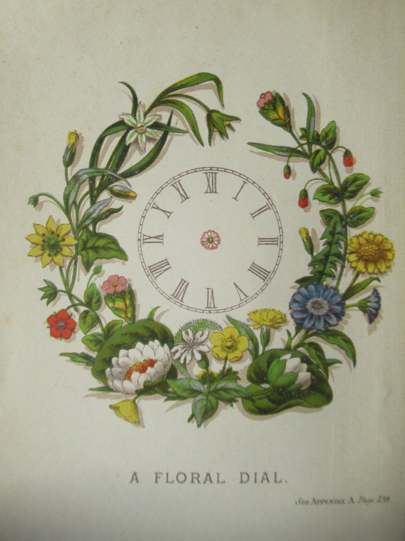 Neil, James, Rev. M.A. - Rays from the realms of nature or parables of plant life