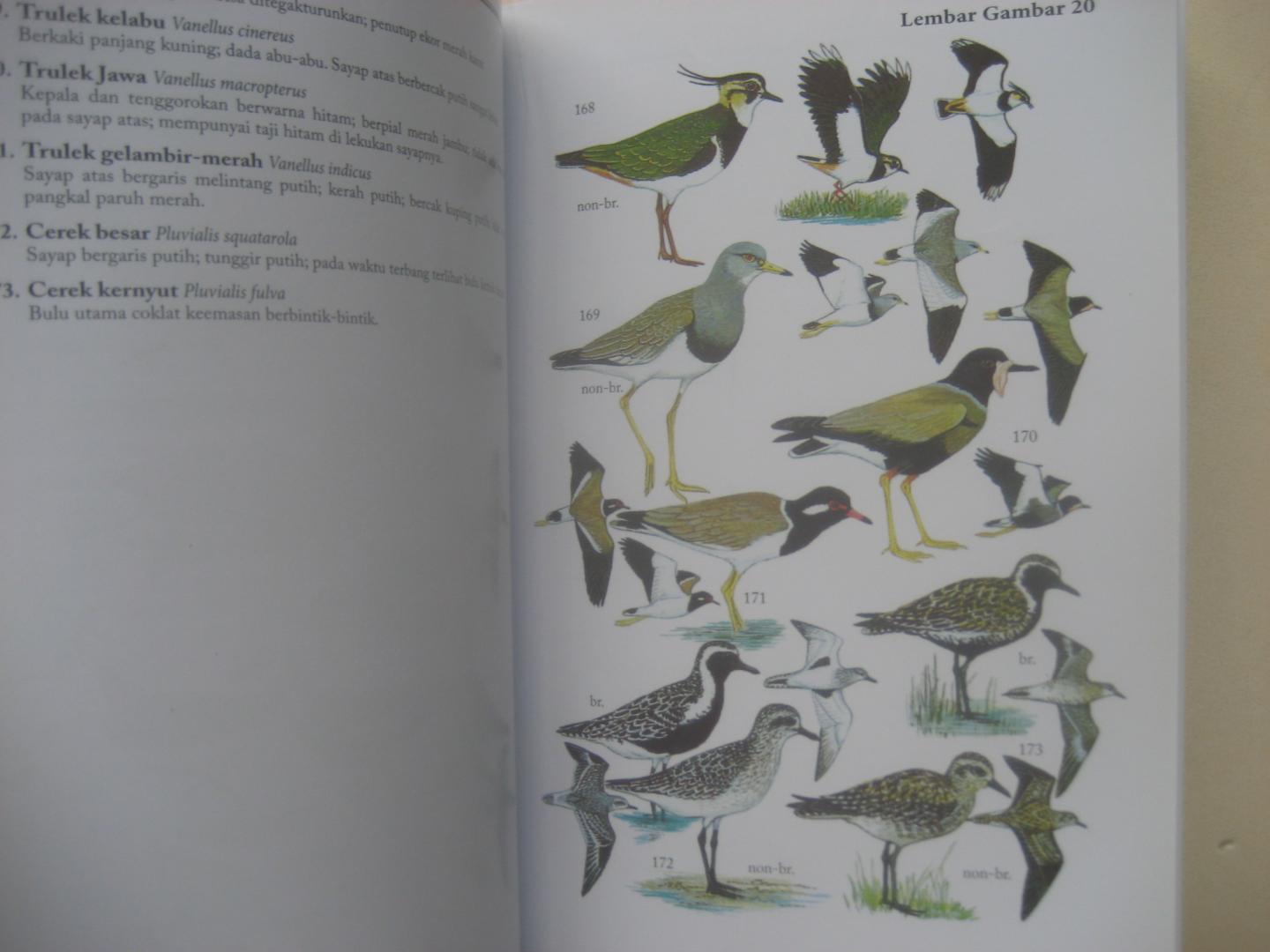 John MacKinnon e.a. - Burung-Burung di Sumatra, Jawa, Bali dan Kalimantan