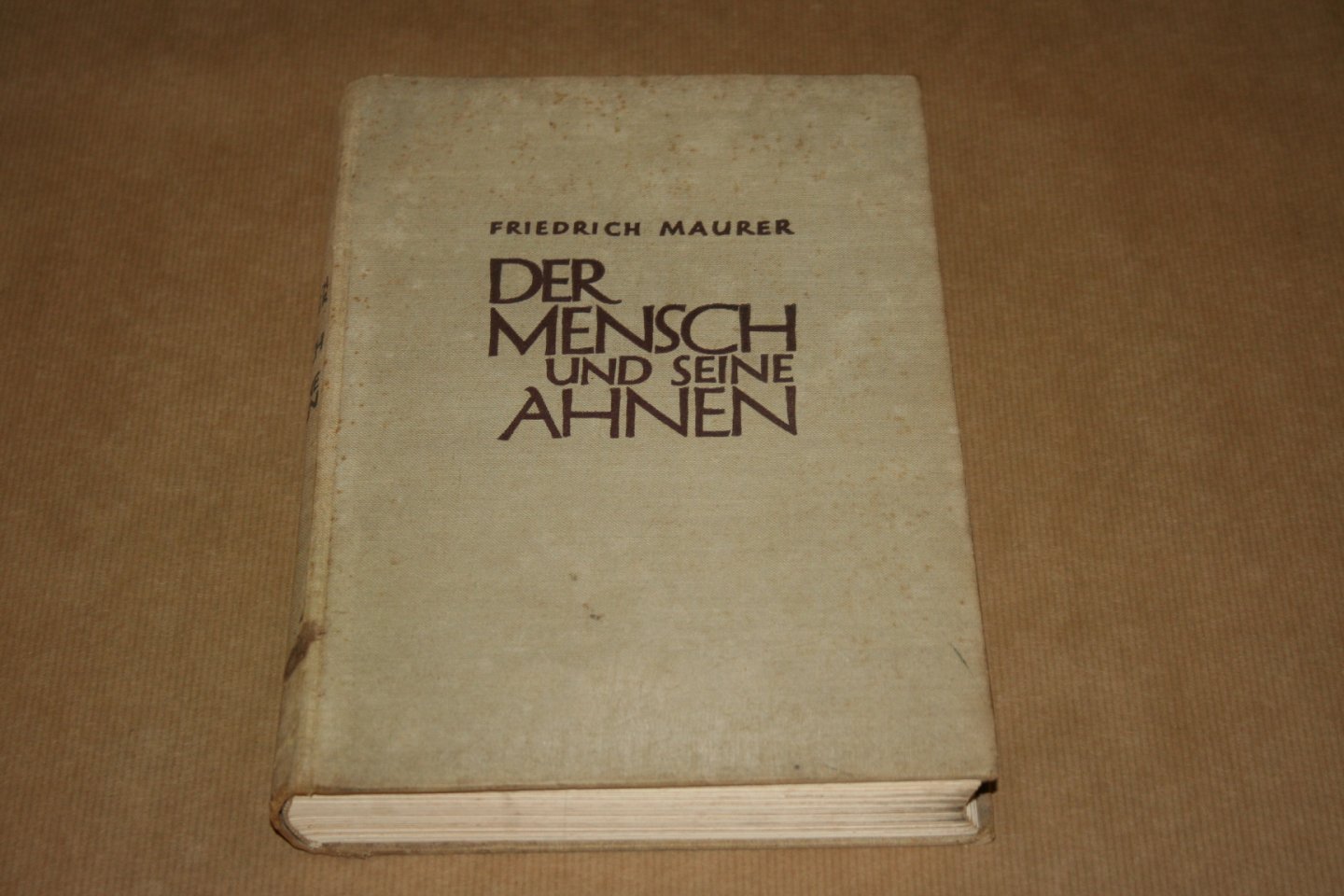 Friedrich Maurer - Der Mensch und seine Ahnen
