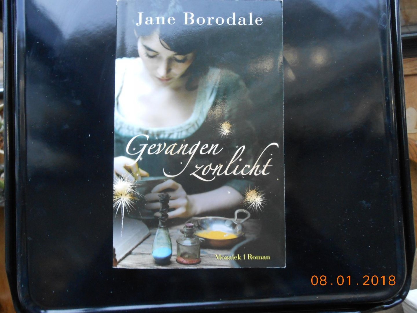 Borodale, Jane - Gevangen zonlicht