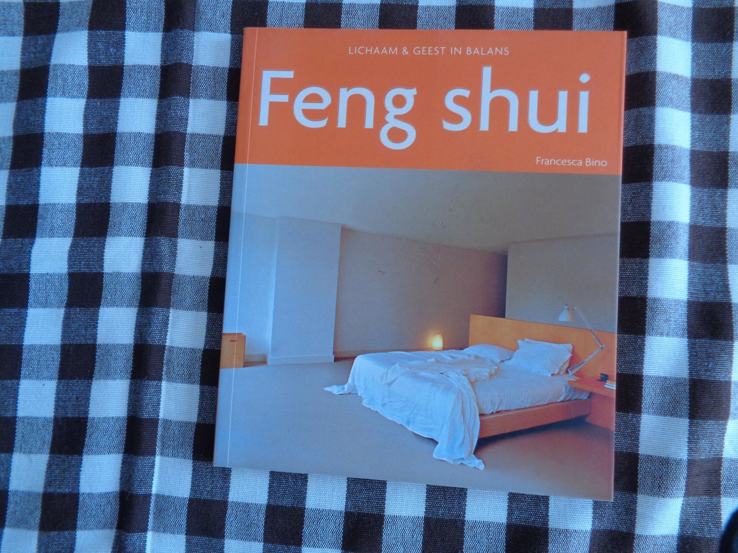 francesca bino - feng shui-lichaam geest in balans