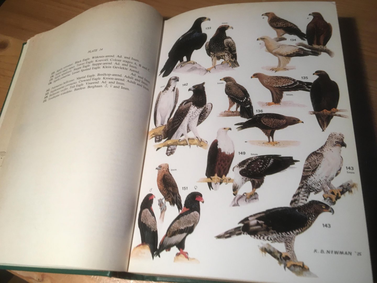 McLachlan & Liversidge - Roberts/Robert's Birds of South Africa