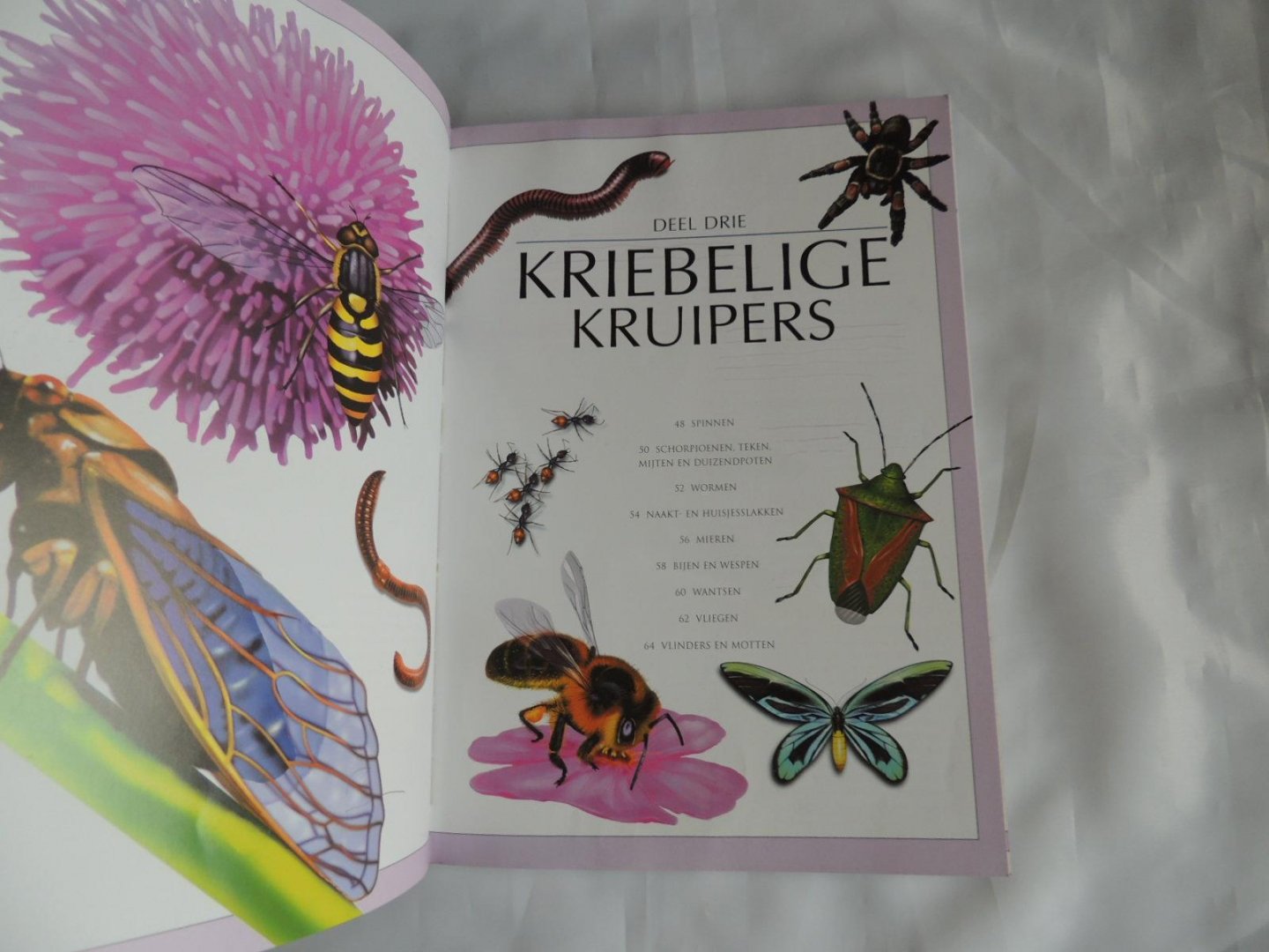 John Farndon; David Ashby - Dieren vragen & en antwoorden