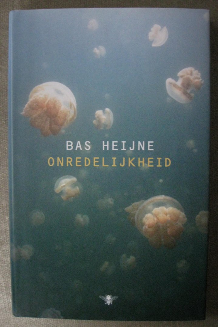 Heijne, Bas - Onredelijkheid