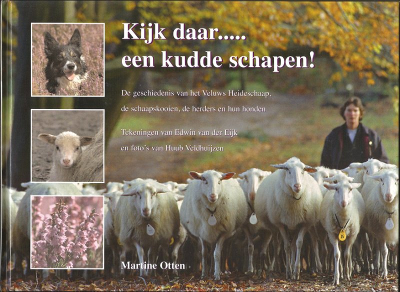 Otten, Martine - Kijk daar..... een kudde schapen! Tekeningen van Edwin van der Eijk. Foto's van Huub Veldhuijzen