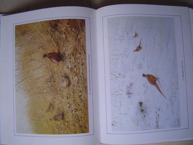 John Savory - George Lodge artist naturalist