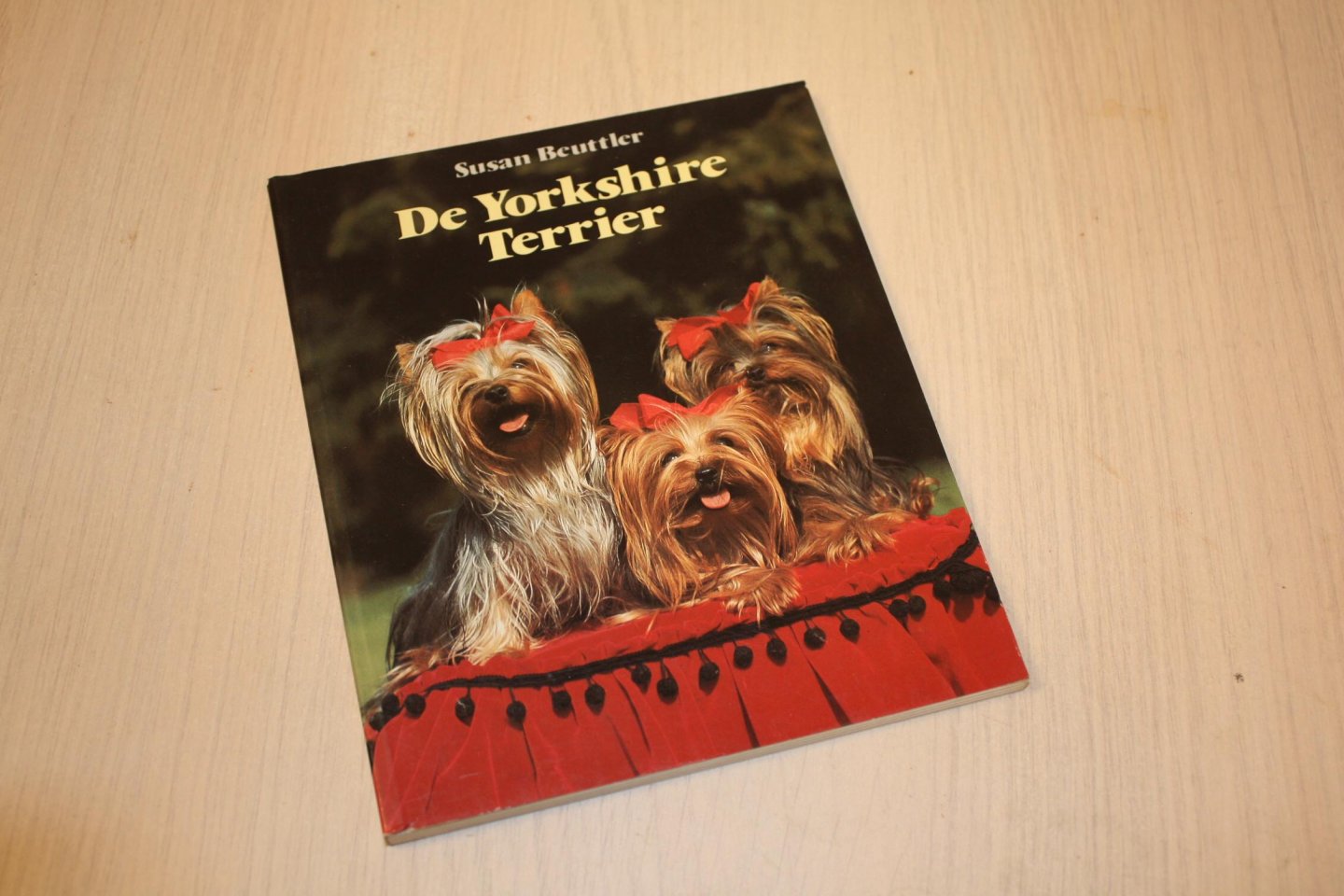 Beuttler - Yorkshire terrier / druk 1