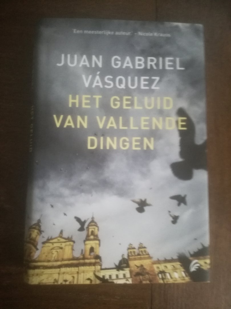 Vasquez, Juan Gabriel - Het geluid van vallende dingen