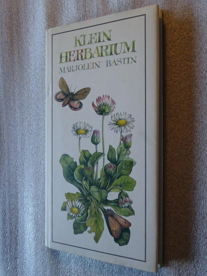 Buissink, Frans / Bastin Marjolein - Klein Herbarium