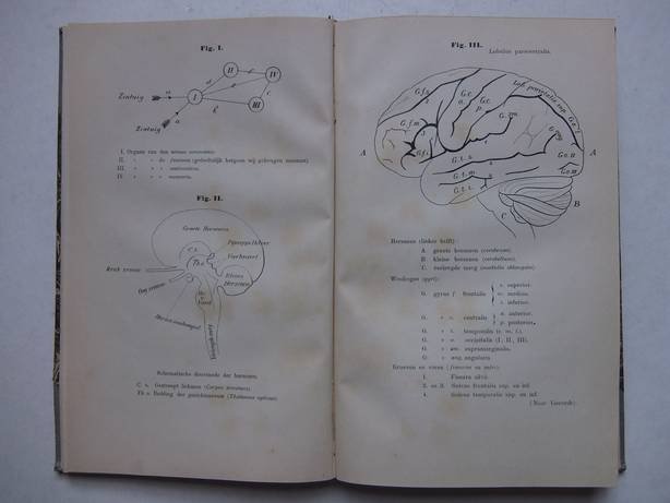 Keuller, J.M.L. - De Mensch; eene psycho-physiologische studie.