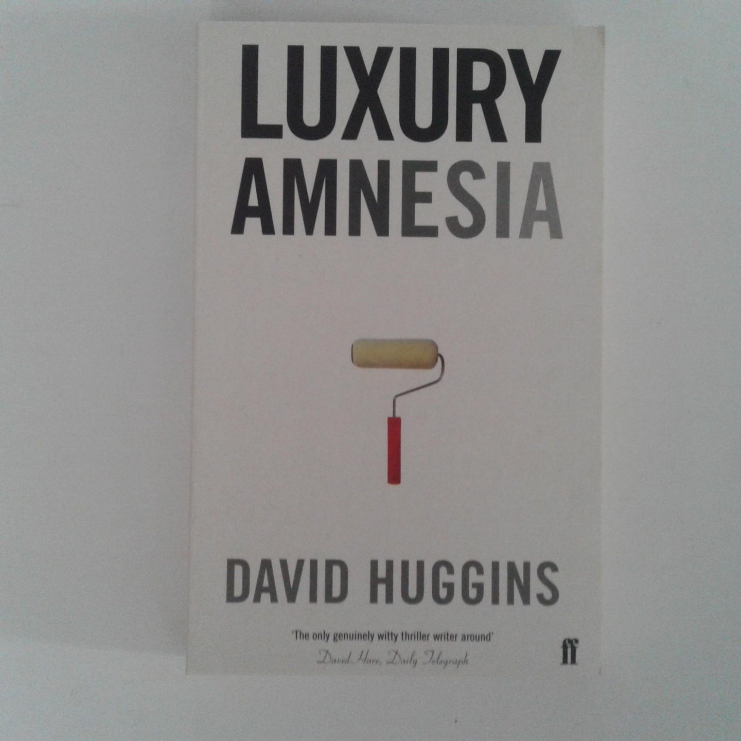 Huggins, David - Luxury Amnesia