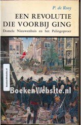 Een revolutie die voorbij ging - Domela Nieuwenhuis en het Palingoproer