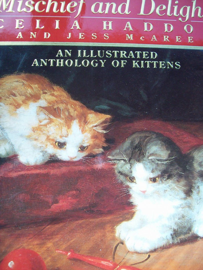 Celia Hadden & Jess Mc Aree - "An Illustrated Anthology of Kittens"