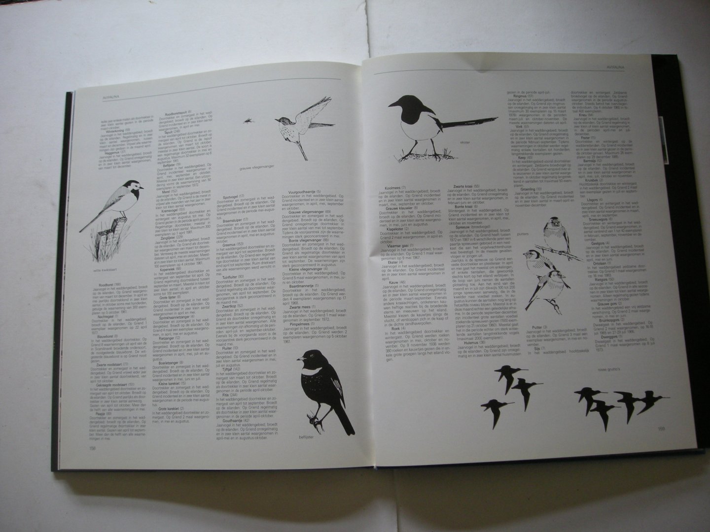 Veen,J. tekst / Kam,J.van de, fotogr. - Griend, Vogeleiland in de waddenzee