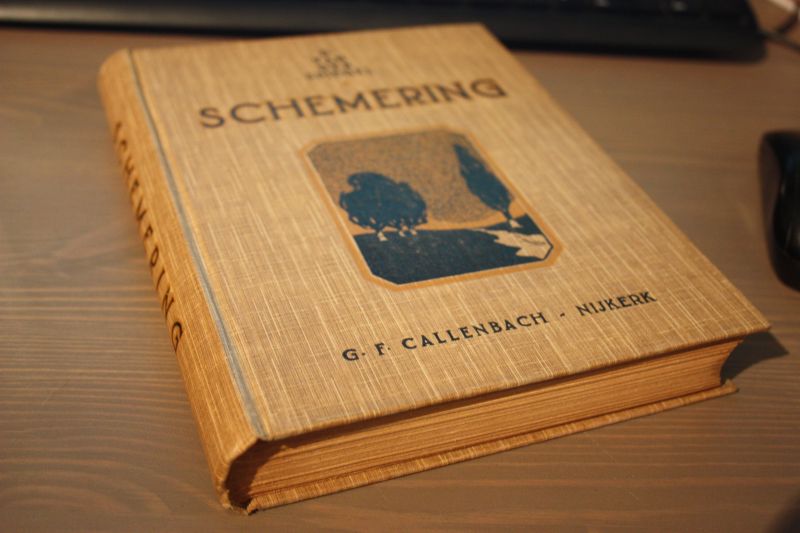 Spiegel van der D. - Schemering