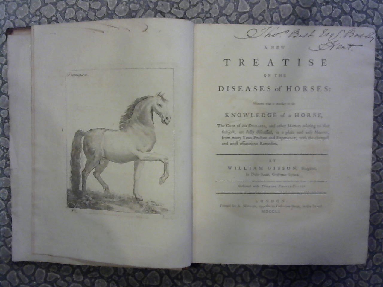 Gibson William - A New Treatise on the diseases of Horses, Wherein what is necessary to the Knowledge of a Horse