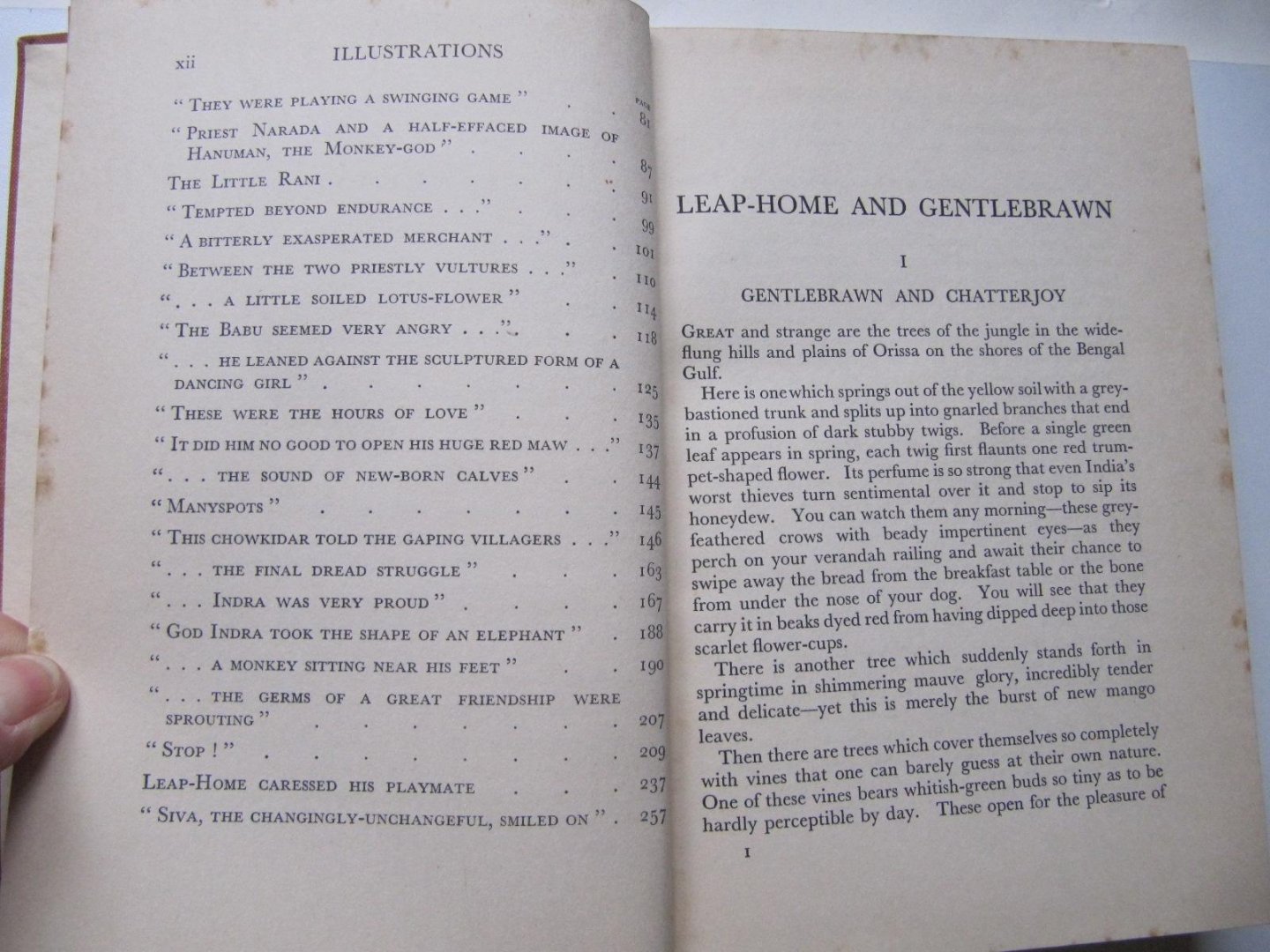 Frieda Hauswirth Das - Leap-Home and Gentlebrawn