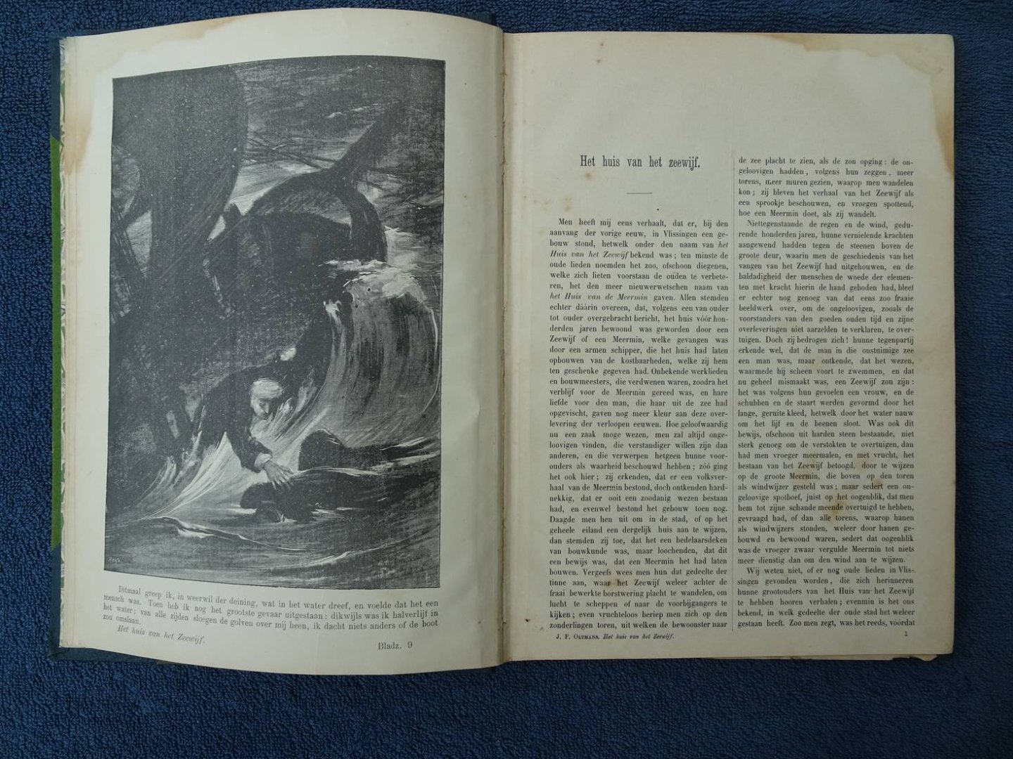 Oltmans, J.F. - Het huis van het Zeewijf; diverse novellen.