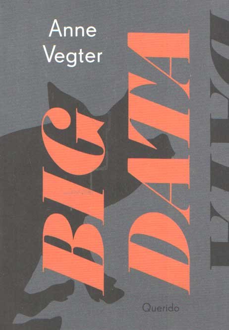 Vegter, Anne - Big data