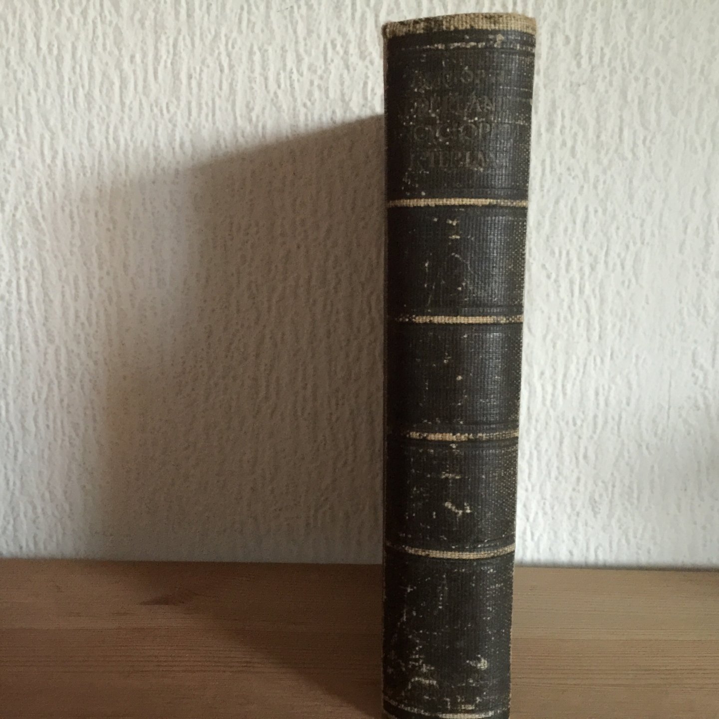 K ter Laan - beknopte Nederlandsche Encyclopedie 3 e druk