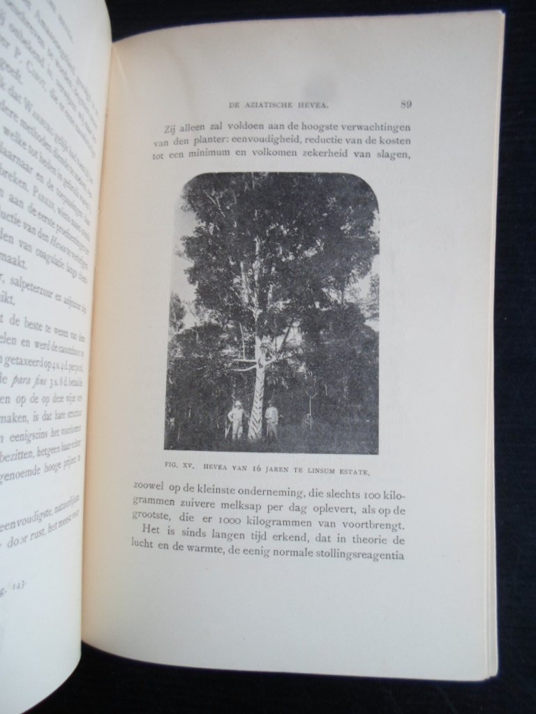 Collet, Octave J.A. - De Aziatische Hevea [koffie]