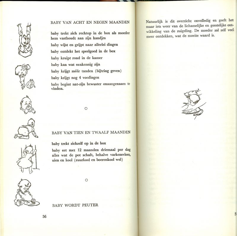 Tekeningen van C. Teewisse - Het groeiende leven